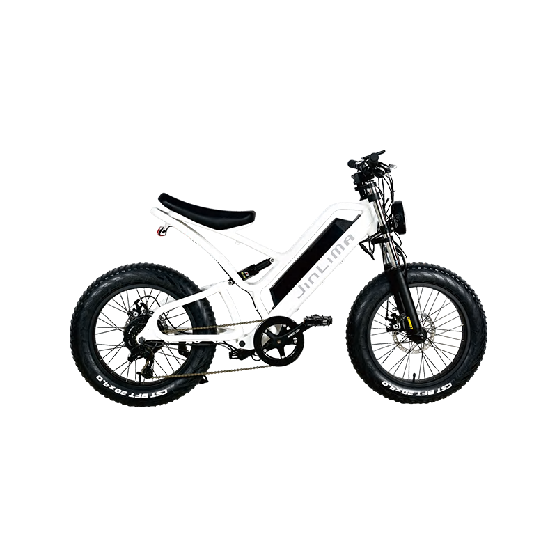 Hyb-030 20 "Etapa E-Bike.