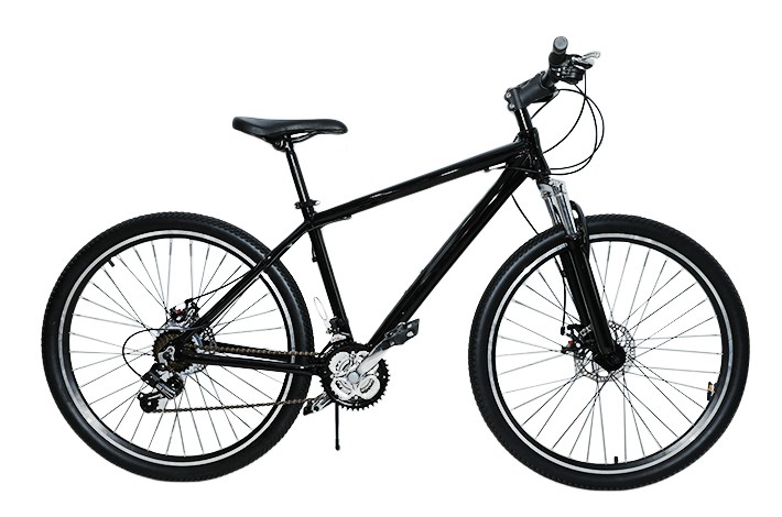 O fornecedor público de bicicleta elétrica apresenta habilidades de manutenção de bicicletas