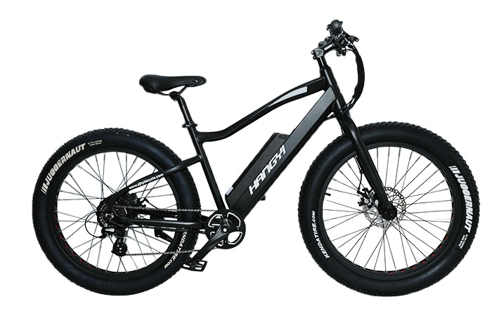 Fabricante de bicicleta elétrica dobrável portátil apresenta o uso de freios
